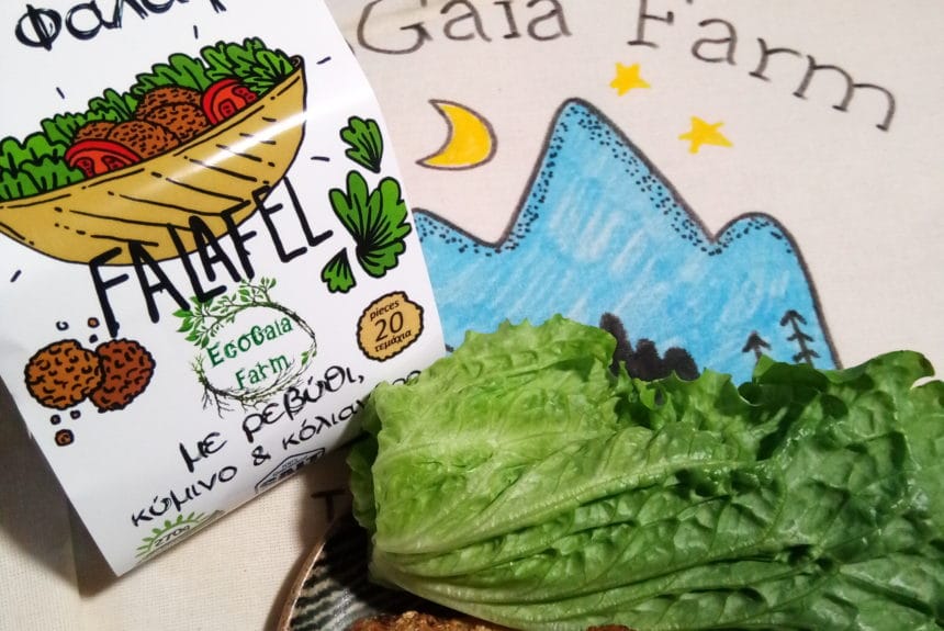 P_20191230_161119 Φαλάφελ σε αράβικη πίτα