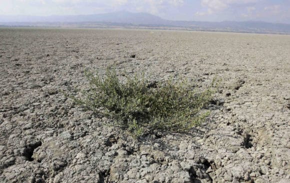 Με «ερημοποίηση» κινδυνεύει το ένα τρίτο των εδαφών της Ελλάδας