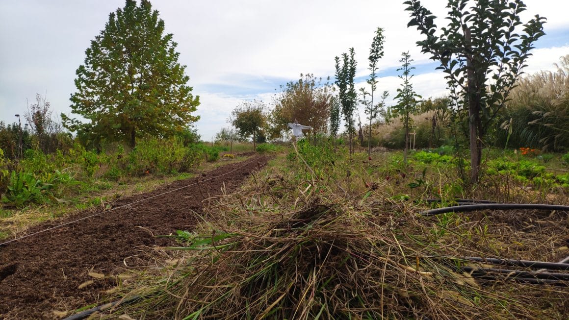 Αναγεννητική Γεωργία και επισιτιστική ασφάλεια «πρωταγωνίστησαν» στο παγκόσμιο οικονομικό φόρουμ του Νταβός