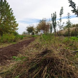 IMG_20231101_120649 Αναγεννητική Γεωργία και επισιτιστική ασφάλεια «πρωταγωνίστησαν» στο παγκόσμιο οικονομικό φόρουμ του Νταβός