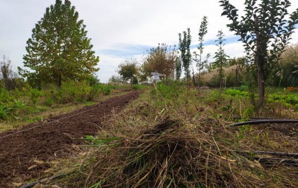 Αναγεννητική Γεωργία και επισιτιστική ασφάλεια «πρωταγωνίστησαν» στο παγκόσμιο οικονομικό φόρουμ του Νταβός