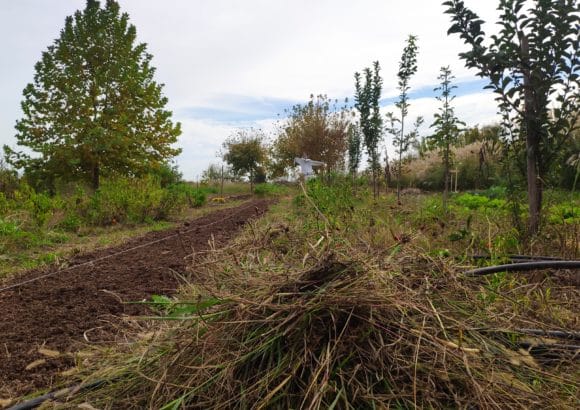 Αναγεννητική Γεωργία και επισιτιστική ασφάλεια «πρωταγωνίστησαν» στο παγκόσμιο οικονομικό φόρουμ του Νταβός